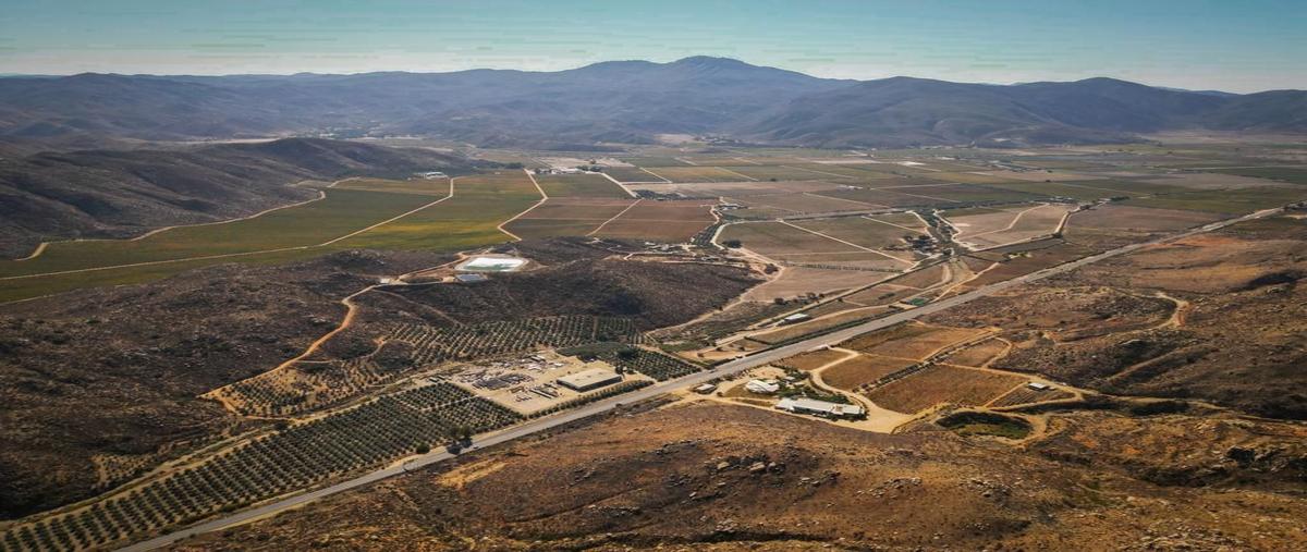 Foto de terreno habitacional en venta en  , francisco zarco (valle de guadalupe), ensenada, baja california, 28555014 No. 04
