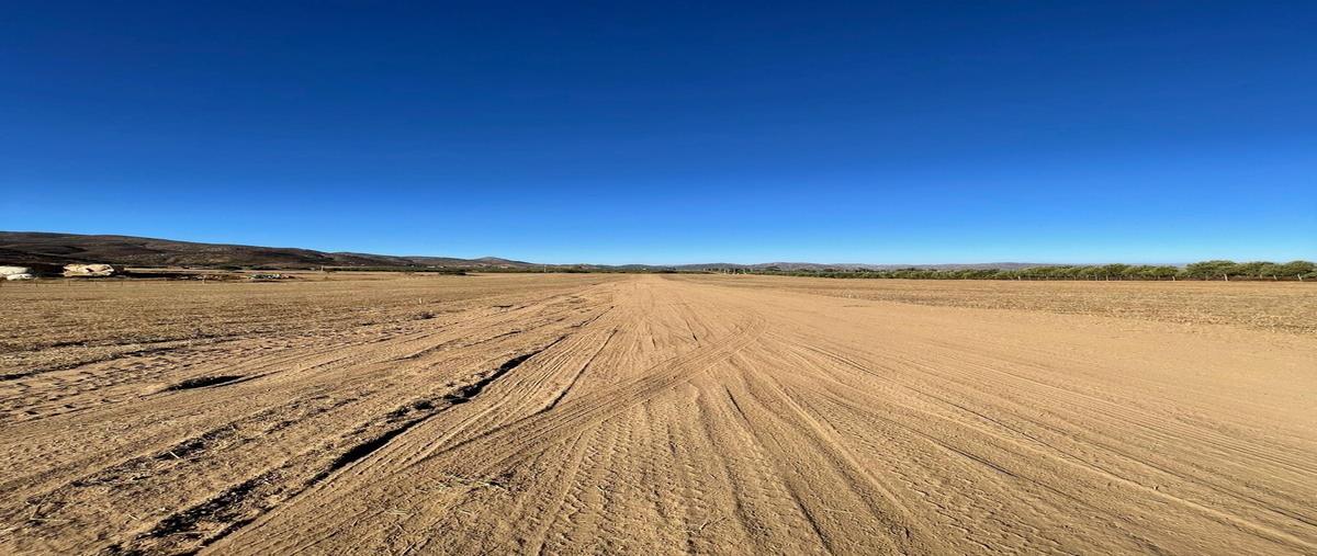Foto de terreno habitacional en venta en  , francisco zarco (valle de guadalupe), ensenada, baja california, 28595328 No. 03