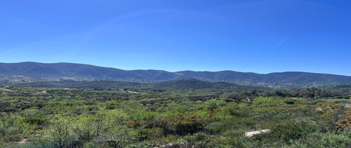 Foto de terreno habitacional en venta en  , francisco zarco (valle de guadalupe), ensenada, baja california, 29316332 No. 04