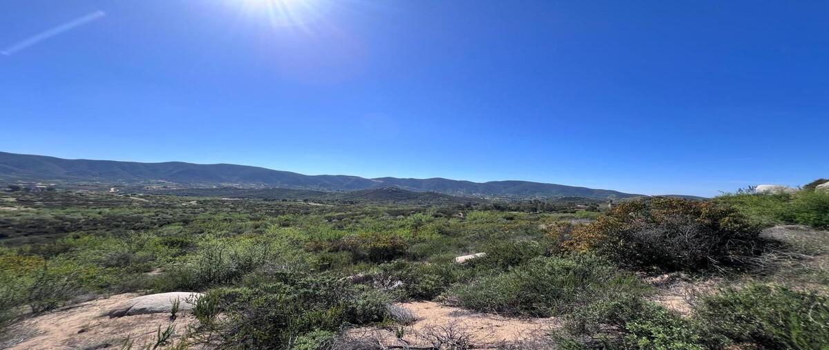 Foto de terreno habitacional en venta en  , francisco zarco (valle de guadalupe), ensenada, baja california, 29316332 No. 05