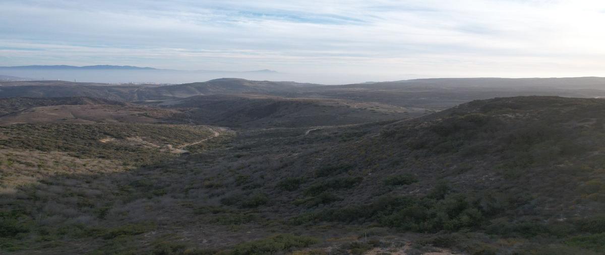 Foto de terreno habitacional en venta en  , francisco zarco (valle de guadalupe), ensenada, baja california, 0 No. 04