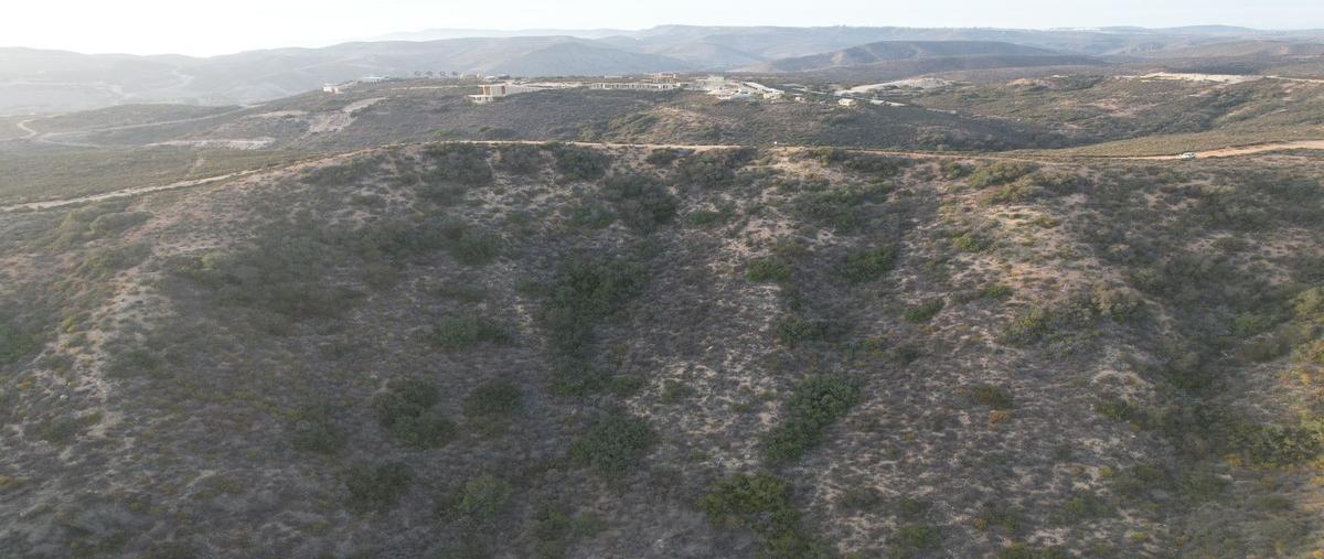 Foto de terreno habitacional en venta en  , francisco zarco (valle de guadalupe), ensenada, baja california, 0 No. 05