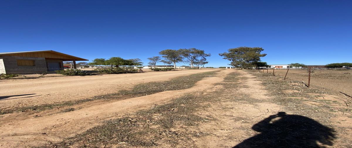 Foto de terreno habitacional en venta en  , francisco zarco (valle de guadalupe), ensenada, baja california, 0 No. 05