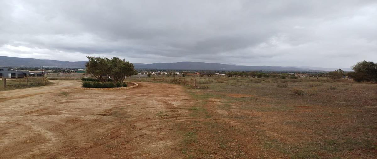 Foto de terreno habitacional en venta en  , francisco zarco (valle de guadalupe), ensenada, baja california, 0 No. 04
