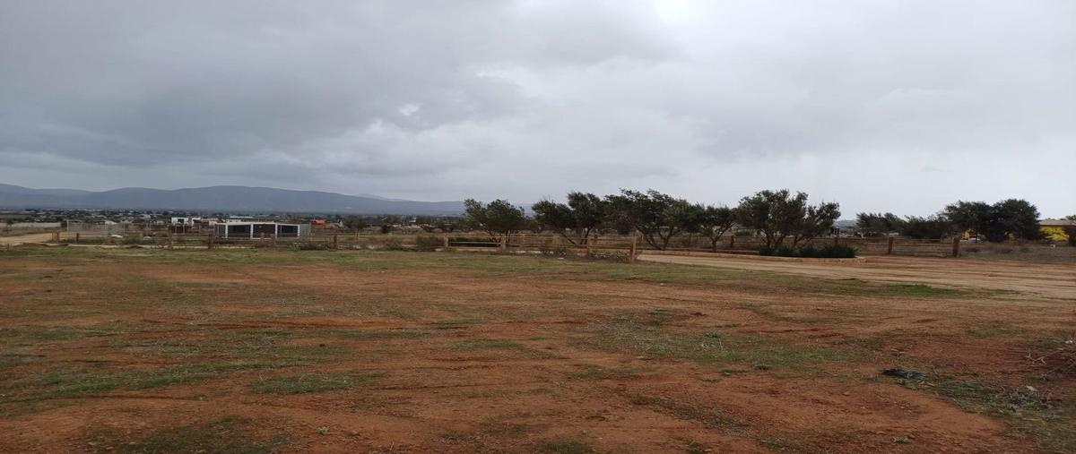 Foto de terreno habitacional en venta en  , francisco zarco (valle de guadalupe), ensenada, baja california, 0 No. 05