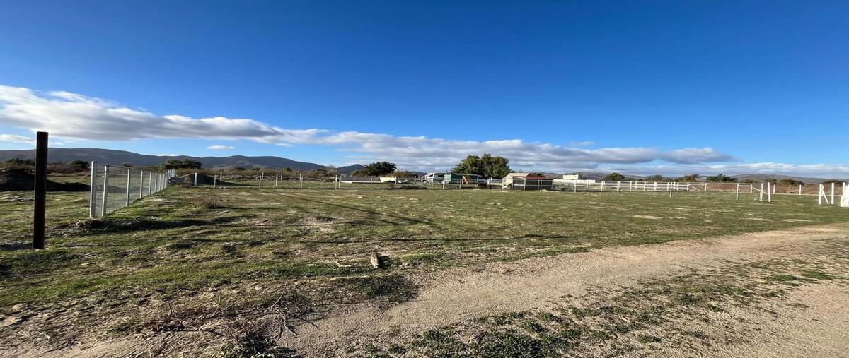 Foto de terreno habitacional en venta en  , francisco zarco (valle de guadalupe), ensenada, baja california, 30169769 No. 04