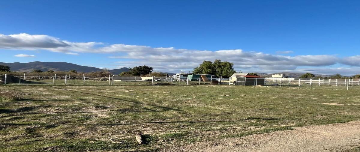 Foto de terreno habitacional en venta en  , francisco zarco (valle de guadalupe), ensenada, baja california, 30169769 No. 05