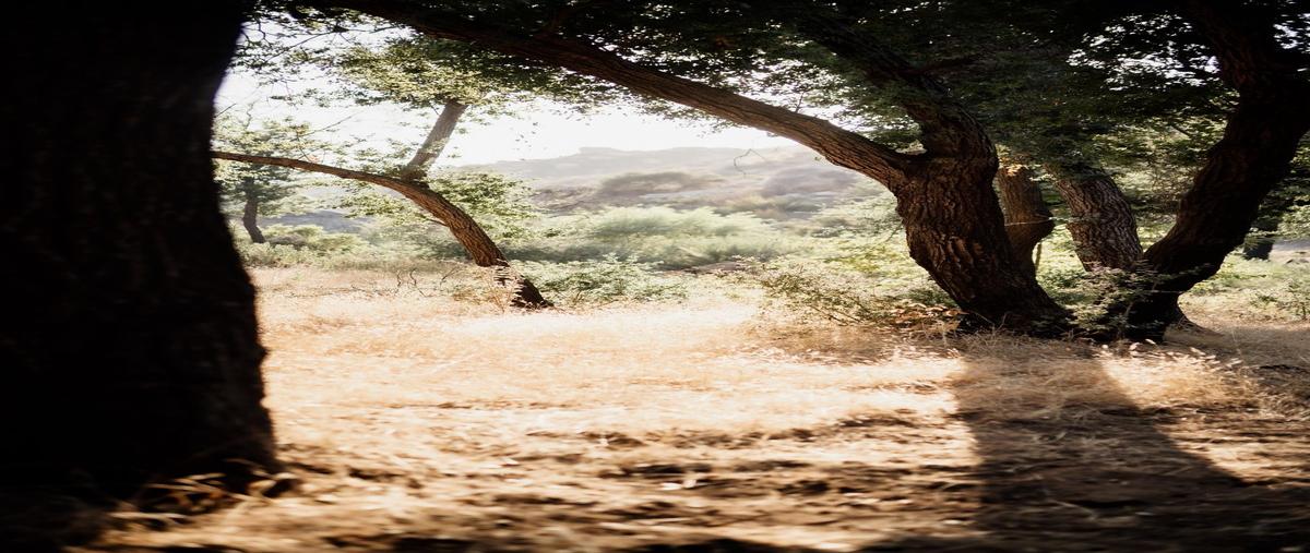 Foto de terreno habitacional en venta en  , francisco zarco (valle de guadalupe), ensenada, baja california, 30209317 No. 03