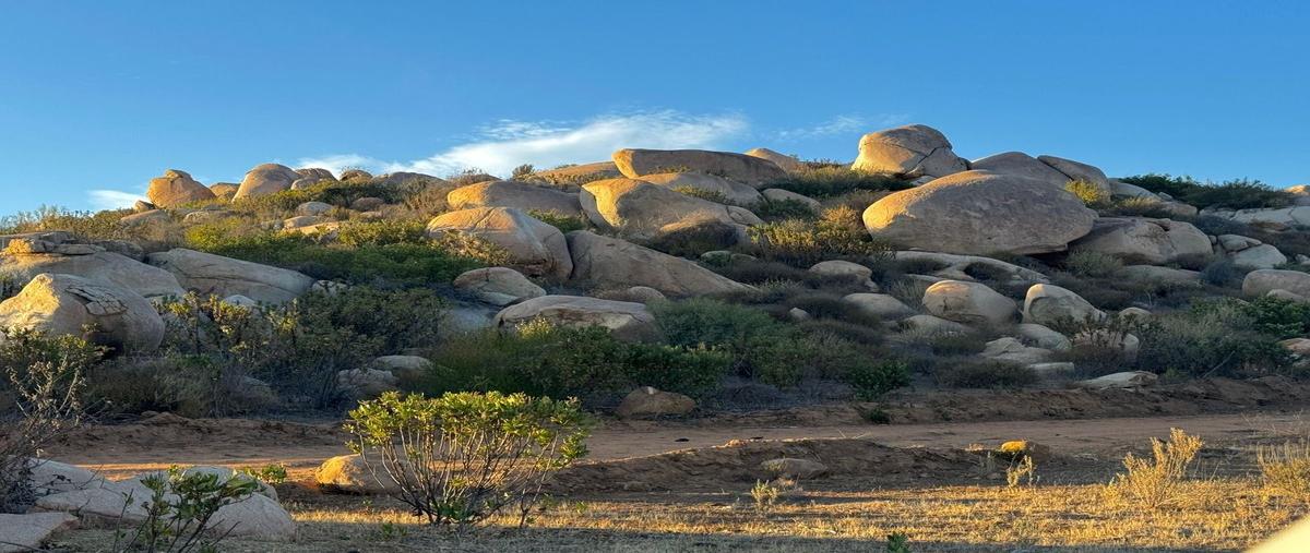 Foto de terreno habitacional en venta en  , francisco zarco (valle de guadalupe), ensenada, baja california, 30209317 No. 04