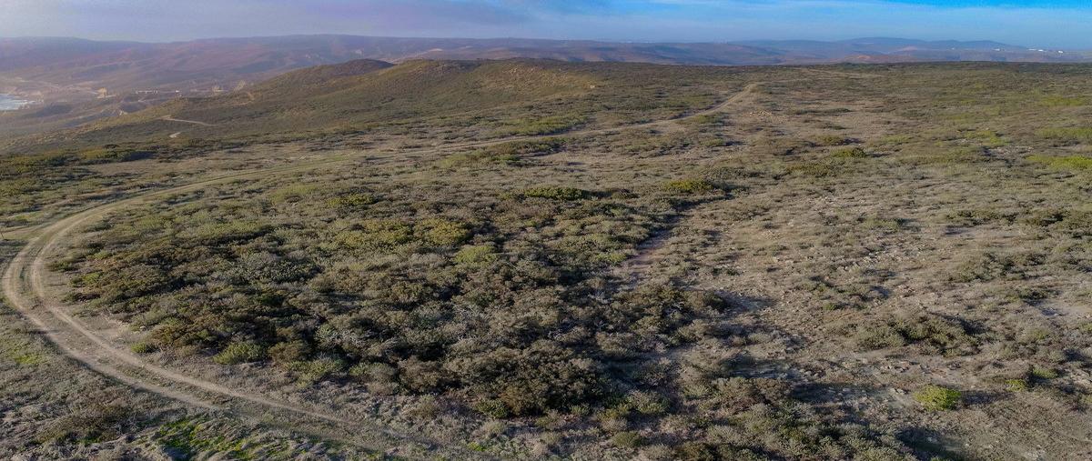 Foto de terreno habitacional en venta en  , francisco zarco (valle de guadalupe), ensenada, baja california, 0 No. 03