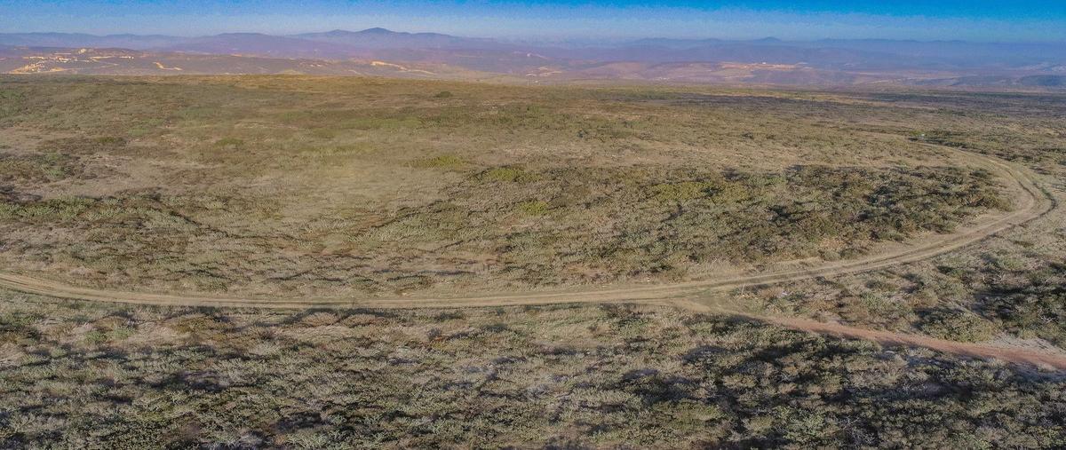 Foto de terreno habitacional en venta en  , francisco zarco (valle de guadalupe), ensenada, baja california, 0 No. 05