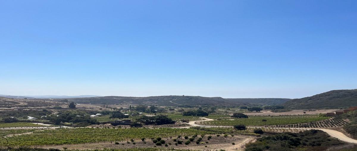 Foto de terreno habitacional en , francisco zarco (valle de guadalupe), ensenada, baja california, 0 foto 04 Foto de terreno habitacional en venta en , francisco zarco (valle de guadalupe), ensenada, baja california, 0 No. 04