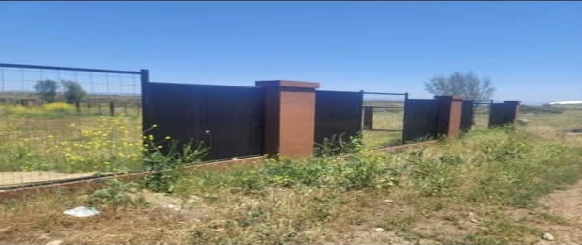 Foto de terreno habitacional en venta en  , francisco zarco (valle de guadalupe), ensenada, baja california, 0 No. 03