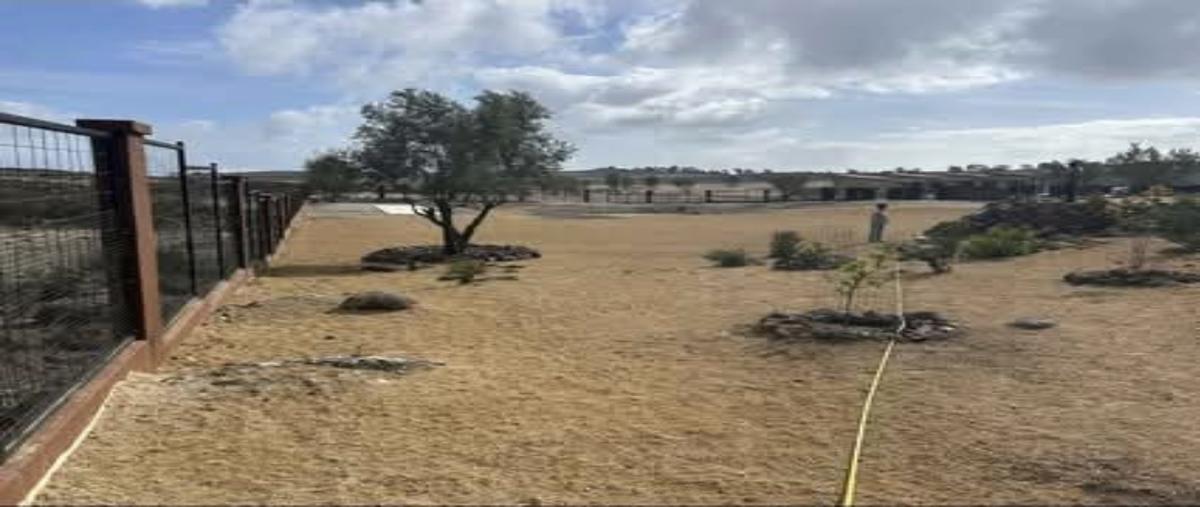 Foto de terreno habitacional en venta en  , francisco zarco (valle de guadalupe), ensenada, baja california, 0 No. 05