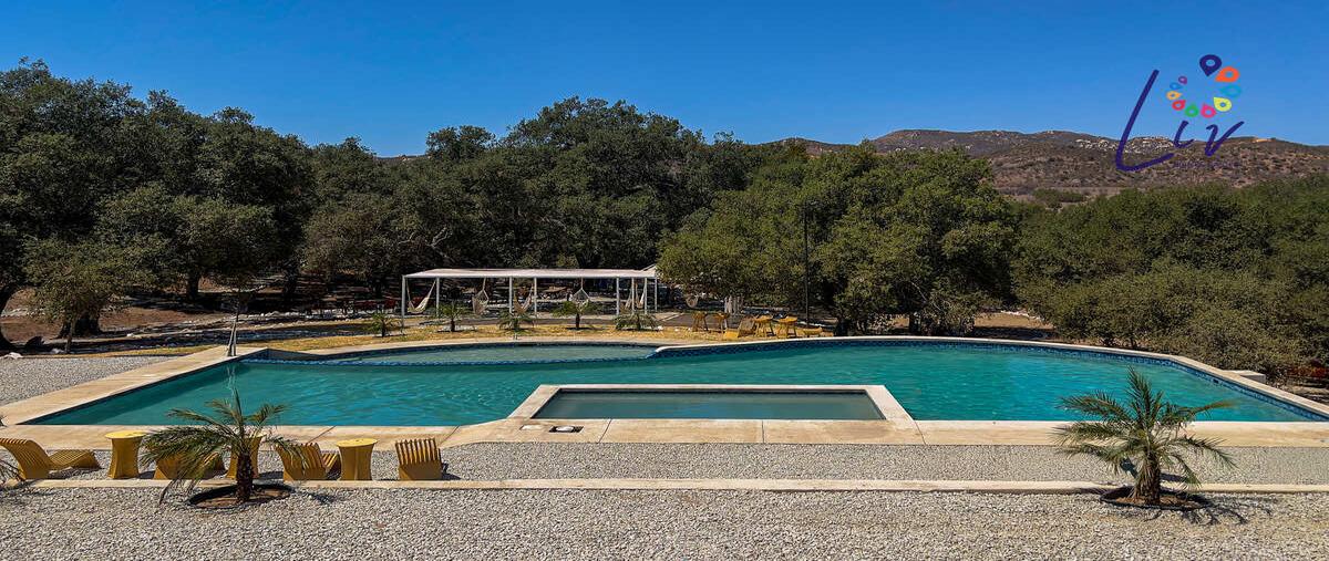 Foto de terreno habitacional en venta en  , francisco zarco (valle de guadalupe), ensenada, baja california, 30375806 No. 03