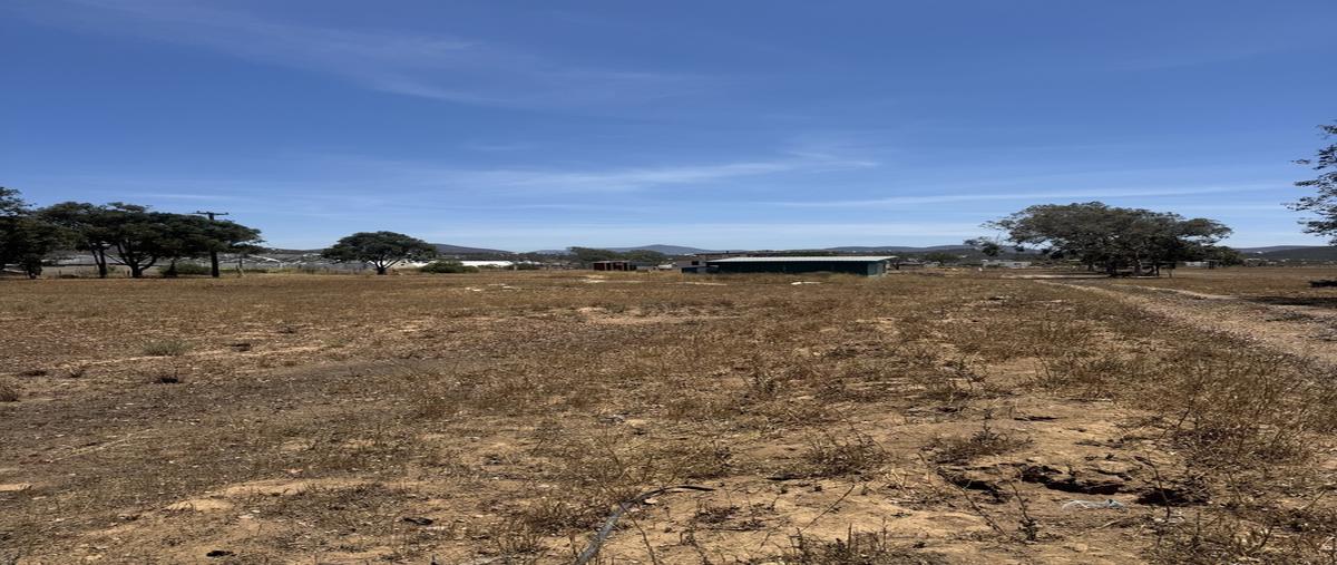 Foto de terreno habitacional en venta en  , francisco zarco (valle de guadalupe), ensenada, baja california, 0 No. 05