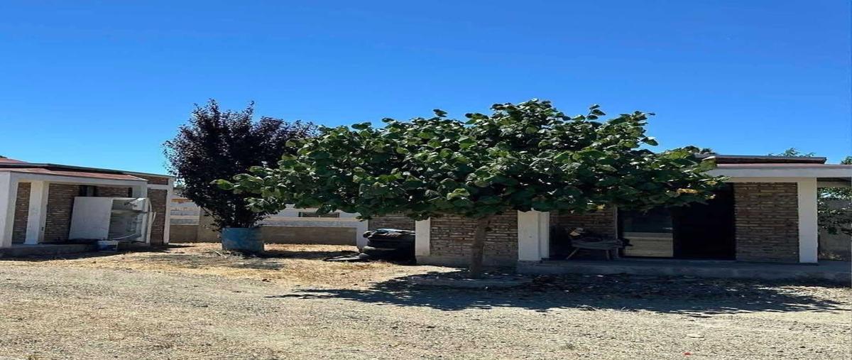 Foto de rancho en venta en  , francisco zarco (valle de guadalupe), ensenada, baja california, 0 No. 11