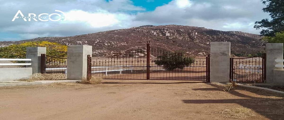 Foto de casa en venta en  , francisco zarco (valle de guadalupe), ensenada, baja california, 0 No. 05