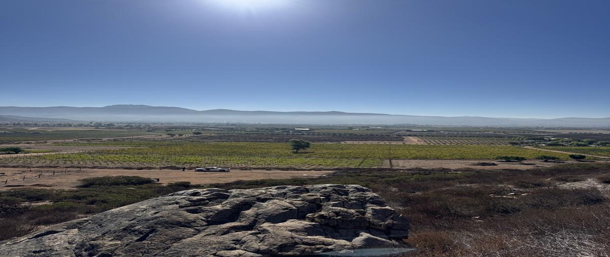 Foto de terreno habitacional en venta en  , francisco zarco (valle de guadalupe), ensenada, baja california, 0 No. 05