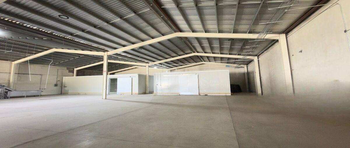 Foto de bodega en renta en  , francisco zarco (valle de guadalupe), ensenada, baja california, 30730843 No. 04