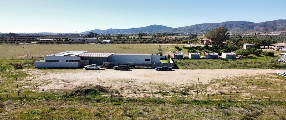 Foto de terreno habitacional en venta en  , francisco zarco (valle de guadalupe), ensenada, baja california, 30859831 No. 05