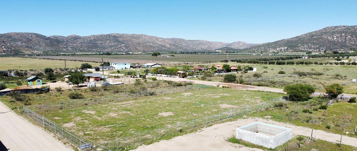 Foto de terreno habitacional en venta en  , francisco zarco (valle de guadalupe), ensenada, baja california, 0 No. 07