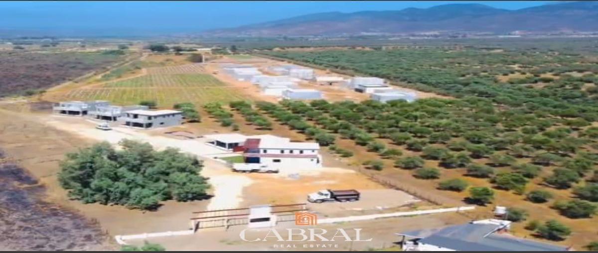 Foto de casa en venta en  , francisco zarco (valle de guadalupe), ensenada, baja california, 0 No. 05
