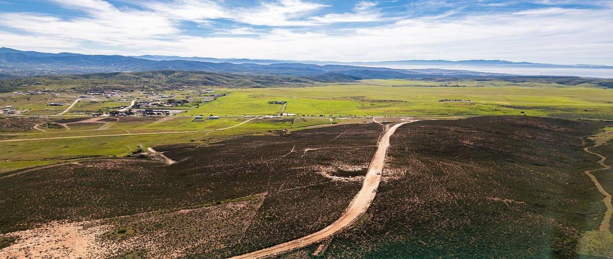 Foto de terreno habitacional en venta en  , francisco zarco (valle de guadalupe), ensenada, baja california, 0 No. 06
