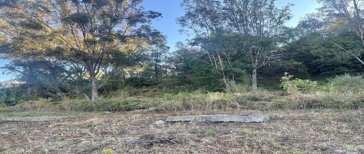 Foto de terreno habitacional en venta en fray gregorio jiménez de la cuenca , la capilla, valle de bravo, méxico, 0 No. 04