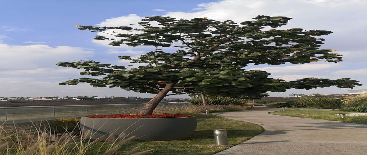 Foto de departamento en venta en fray junipero serra , juriquilla, querétaro, querétaro, 0 No. 04