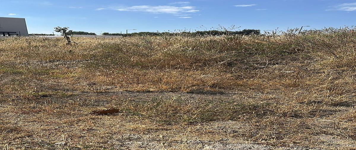 Foto de terreno habitacional en venta en fray junipero serra , la espiga, querétaro, querétaro, 0 No. 03