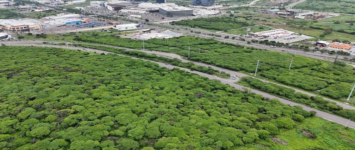 Foto de terreno habitacional en venta en fray junípero serra , san josé buenavista, querétaro, querétaro, 30117526 No. 04