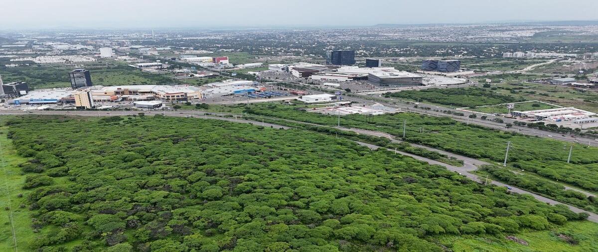 Foto de terreno habitacional en venta en fray junípero serra , san josé buenavista, querétaro, querétaro, 30117526 No. 05