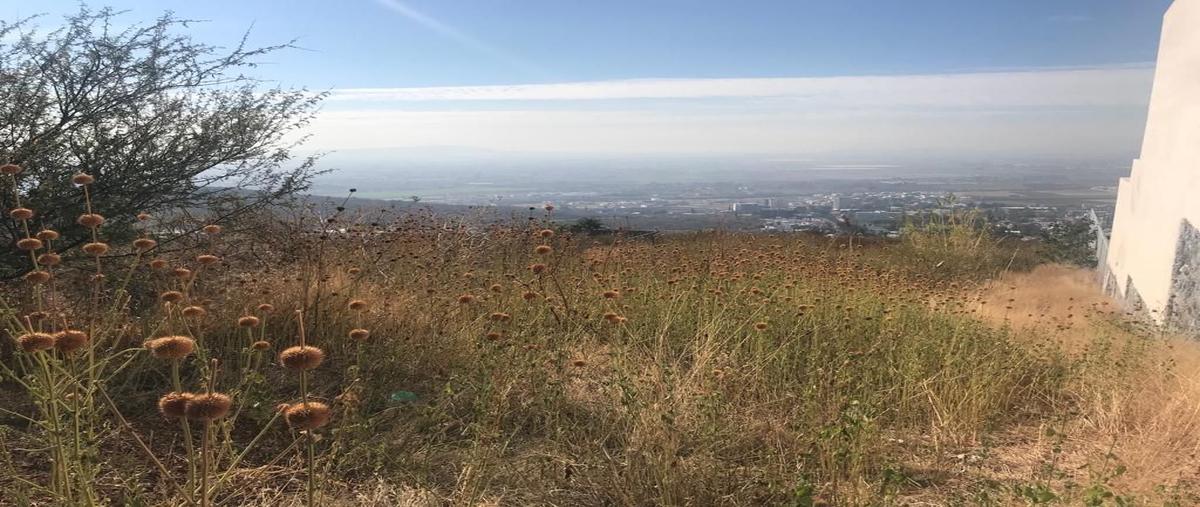 Foto de terreno habitacional en venta en fray pedro de gante , lomas del pedregal, irapuato, guanajuato, 13991563 No. 02