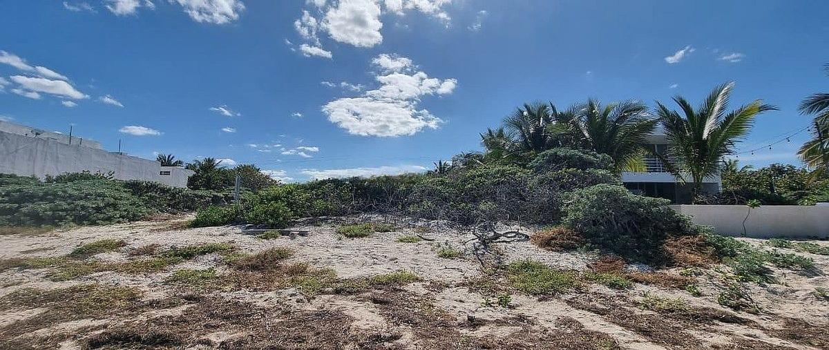 Foto de terreno habitacional en venta en frente a la playa , san diego, dzemul, yucatán, 0 No. 03