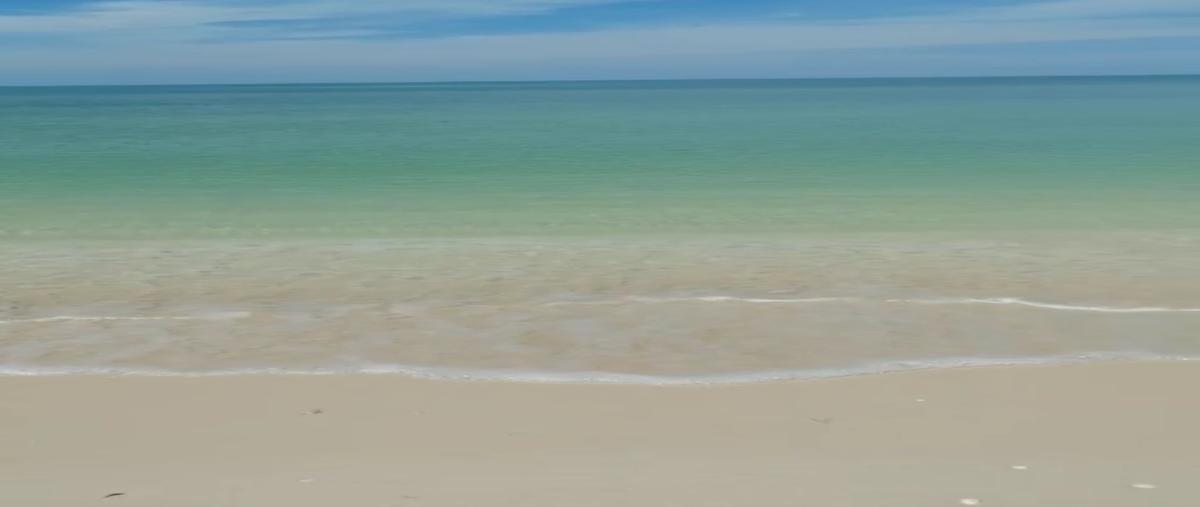 Foto de terreno habitacional en venta en frente al mar de celestún , celestun, celestún, yucatán, 0 No. 03