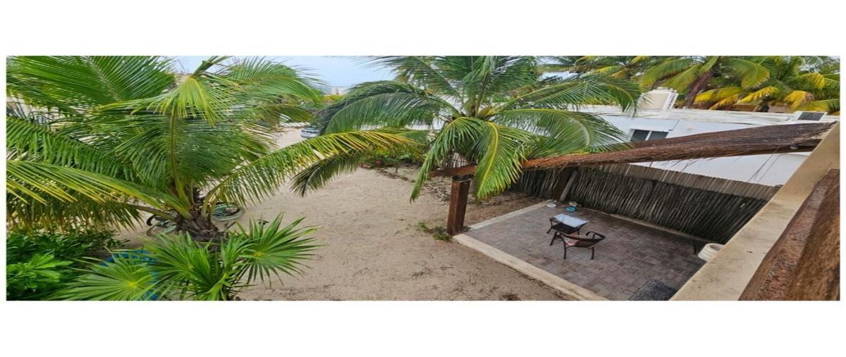 Foto de casa en frente al mar , san crisanto, sinanché, yucatán, 0 foto 01 Foto de casa en venta en frente al mar , san crisanto, sinanché, yucatán, 0 No. 01