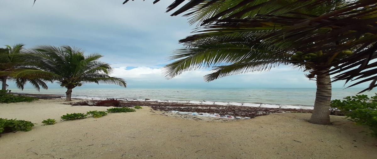 Foto de terreno habitacional en venta en frente al mar , san diego, dzemul, yucatán, 30802752 No. 05