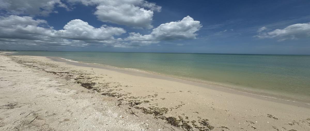 Foto de terreno habitacional en venta en frente al mar , sisal, hunucmá, yucatán, 0 No. 04