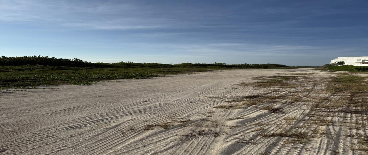 Foto de terreno habitacional en venta en frente al mar , telchac puerto, telchac puerto, yucatán, 0 No. 04