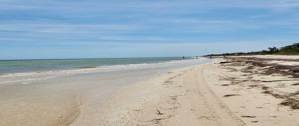 Foto de terreno habitacional en venta en frente al mar , telchac puerto, telchac puerto, yucatán, 0 No. 04