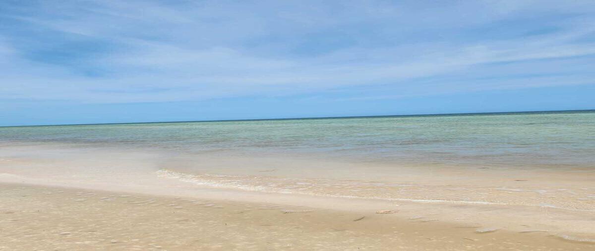 Foto de terreno habitacional en venta en frente al mar , telchac puerto, telchac puerto, yucatán, 0 No. 05