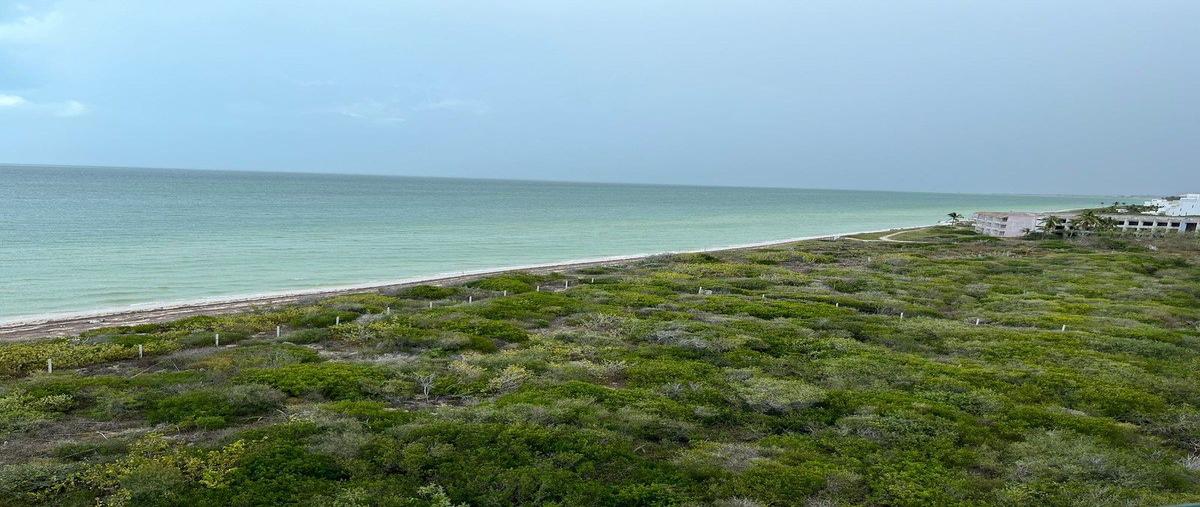 Foto de departamento en venta en frente al mar , telchac puerto, telchac puerto, yucatán, 0 No. 04