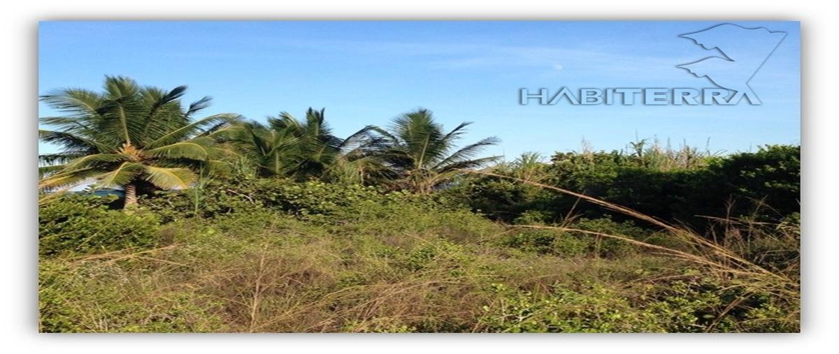 Foto de terreno habitacional en venta en frente de playa, a 2 kms. aprox. de isla tajin. , tampamachoco, tuxpan, veracruz de ignacio de la llave, 0 No. 03