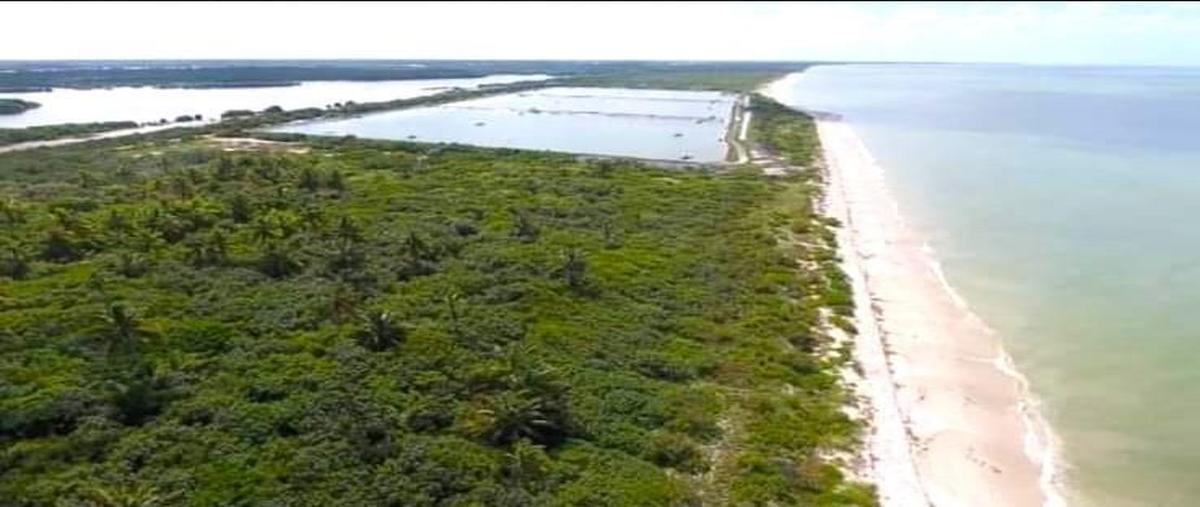 Foto de terreno habitacional en venta en frente mar sisalal fondo de sisal , sisal, hunucmá, yucatán, 28289982 No. 03