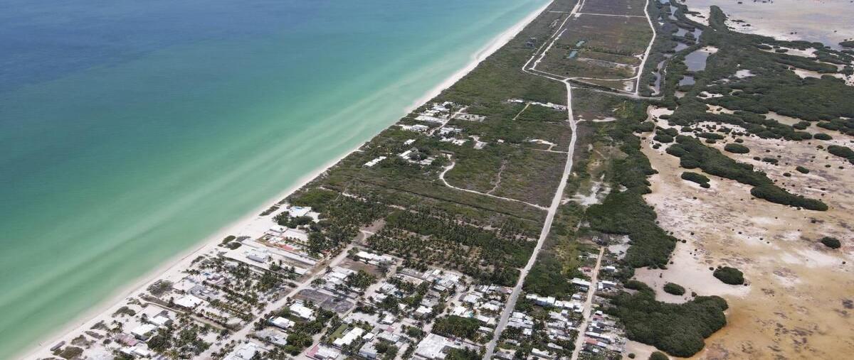 Foto de terreno habitacional en venta en frente mar sisalal fondo de sisal , sisal, hunucmá, yucatán, 28289982 No. 04