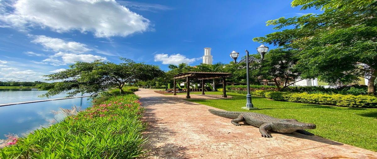 Foto de terreno habitacional en venta en frente rhuban , san ramon norte, mérida, yucatán, 27120415 No. 05