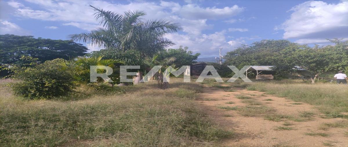 Foto de terreno comercial en fresnitos , ex-hacienda candiani, santa cruz xoxocotlán, oaxaca, 0 foto 05 Foto de terreno comercial en renta en fresnitos , ex-hacienda candiani, santa cruz xoxocotlán, oaxaca, 0 No. 05