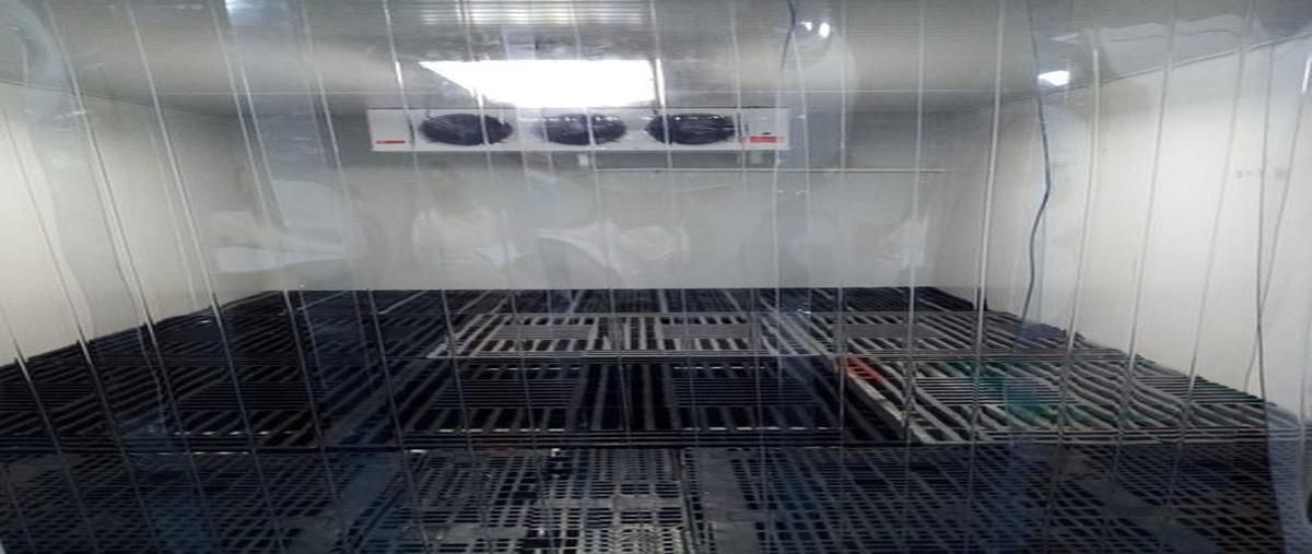 Foto de bodega en renta en fresno , del fresno 1a. sección, guadalajara, jalisco, 23799440 No. 03