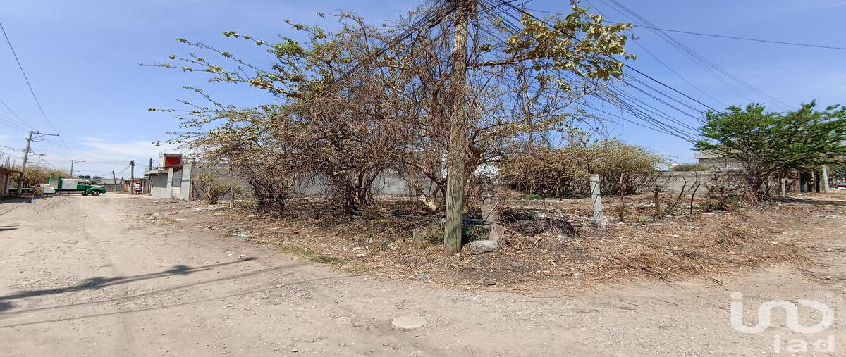 Foto de terreno habitacional en venta en fresno esquina margaritas , tetecolala, tepoztlán, morelos, 0 No. 04